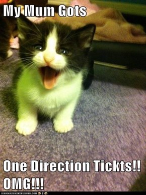 My Mum Gots  One Direction Tickts!! OMG!!!