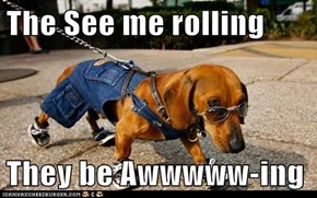 The See me rolling  They be Awwwww-ing