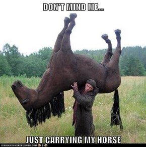 DON'T MIND ME...  JUST CARRYING MY HORSE