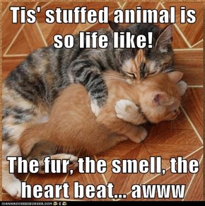 Tis' stuffed animal is so life like!  The fur, the smell, the heart beat... awww
