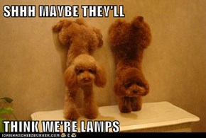 SHHH MAYBE THEY'LL  THINK WE'RE LAMPS
