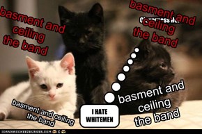 basment and ceiling the band