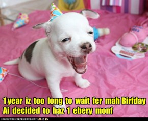 1 year  iz  too  long  to  wait  fer  mah Birfday  Ai  decided  to  haz  1  ebery  monf