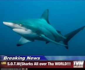 Breaking News - S.O.T.W(Sharks All over Tha WORLD!!!