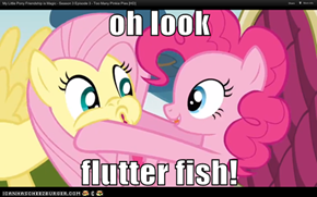 oh look  flutter fish!