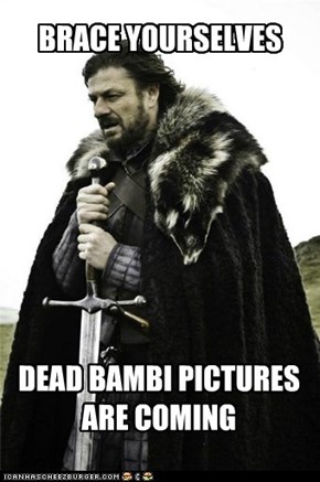 DEAD BAMBI PICTURES ARE COMING