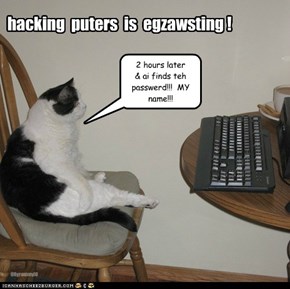 hacking  puters  is  egzawsting !
