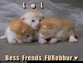 L   ☻   L  Bess  Frends  FURebbur ♥