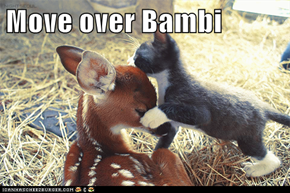 Move over Bambi