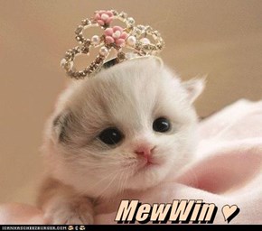 MewWin ♥