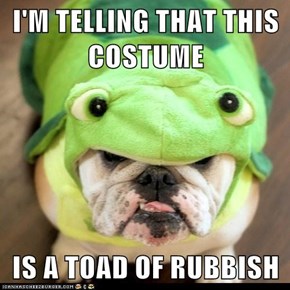 I'M TELLING THAT THIS COSTUME  IS A TOAD OF RUBBISH