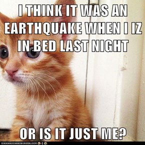 I THINK IT WAS AN EARTHQUAKE WHEN I IZ IN BED LAST NIGHT  OR IS IT JUST ME?