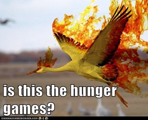 is this the hunger games?