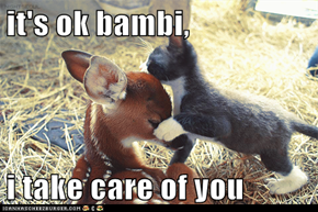 it's ok bambi,  i take care of you
