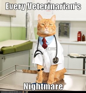 Every Veterinarian's  Nightmare