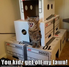 You kidz get off my lawn!