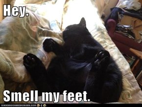Hey.   Smell my feet.