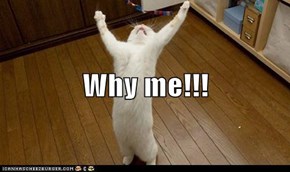 Why me!!!