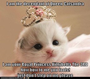 I am the decendant of Queen Catsandra  I am your Royal Princess Kittybella The 3RD Now bow to me you fools!                                       just don't step on me please