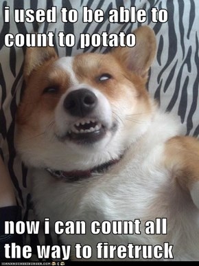 i used to be able to count to potato  now i can count all the way to firetruck