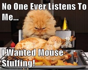 No One Ever Listens To Me...  I Wanted Mouse Stuffing!