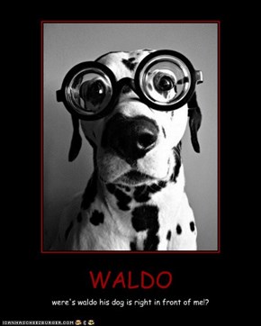 WALDO