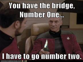 You have the bridge, Number One...  I have to go number two.
