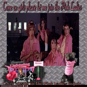 Casey pleads to The Pink Ladies to join...