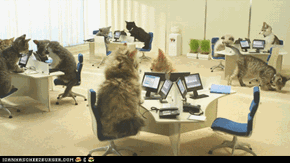 The Inter-Workings of LOLwork 