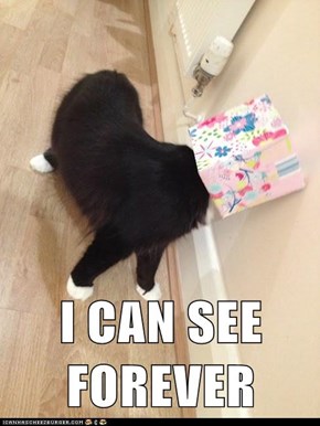 I CAN SEE FOREVER