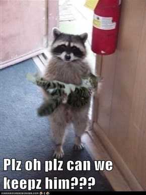 Plz oh plz can we keepz him???