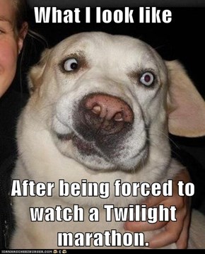 What I look like  After being forced to watch a Twilight marathon.