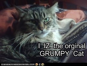 I is the orignal grumpy cat