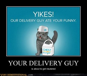 YOUR DELIVERY GUY