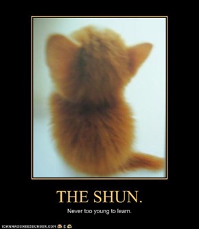 THE SHUN.