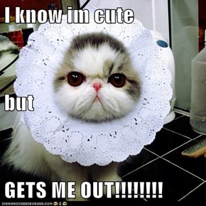 I know im cute but GETS ME OUT!!!!!!!!
