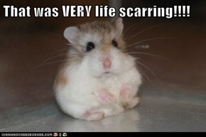 That was VERY life scarring!!!!
