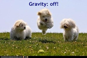 Gravity: off!