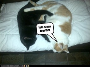 lets  sleep together