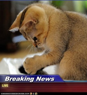 Breaking News