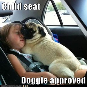 Child seat  Doggie approved
