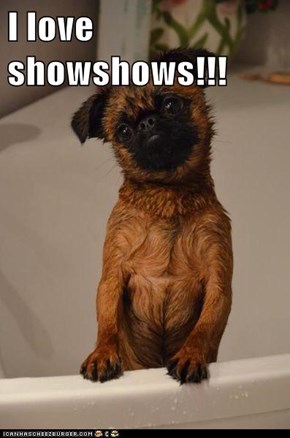 I love showshows!!!