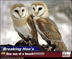 Breaking Hoo's - Hoo sun of a beach!!!!!!!!!!