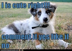 I is cute right!!!  comment if yes like if no