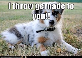 I throw gernade to you!!