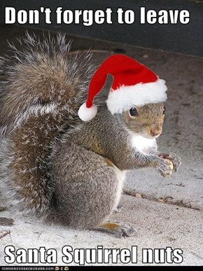 Don't forget to leave  Santa Squirrel nuts