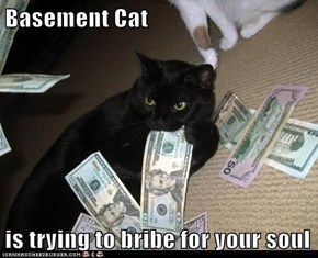 Basement Cat  is trying to bribe for your soul