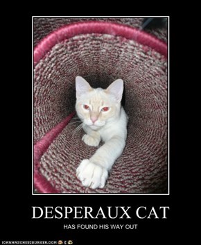 DESPERAUX CAT