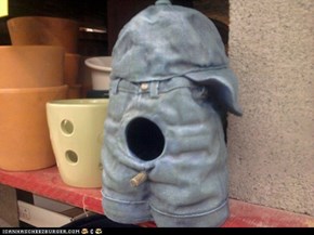 How's that saying go?  A bird in your pants is worth two on your perch?