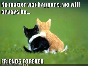 No matter wat happens, we will always be...  FRIENDS FOREVER